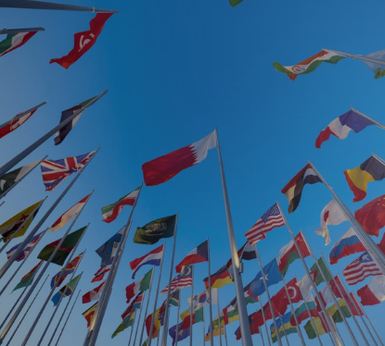 Les 4 combats du Pacte mondial
