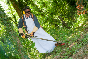 What PPE do you need for your brushcutting work?