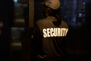 What standards and certifications govern the private security sector?